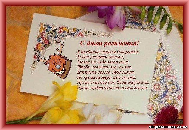 Бордер-колли самые, оригинальные тексты поздравления с днем рождения
